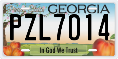GA license plate PZL7014