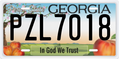 GA license plate PZL7018
