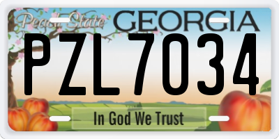 GA license plate PZL7034