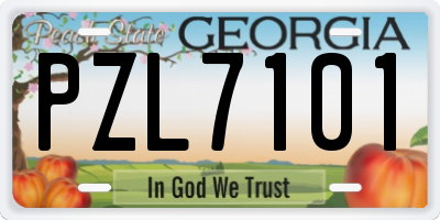 GA license plate PZL7101