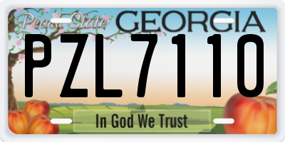 GA license plate PZL7110