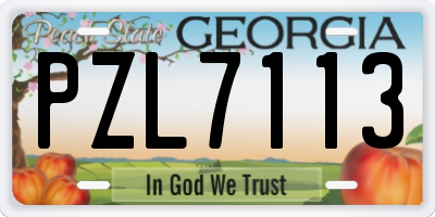 GA license plate PZL7113