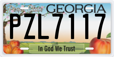 GA license plate PZL7117