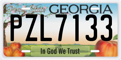 GA license plate PZL7133