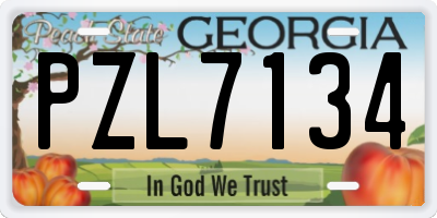 GA license plate PZL7134
