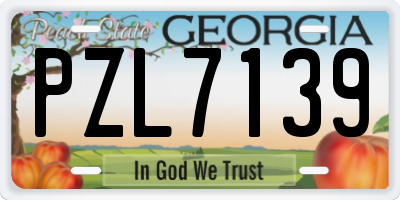 GA license plate PZL7139