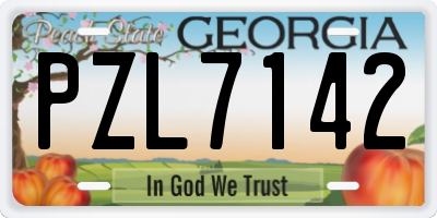 GA license plate PZL7142