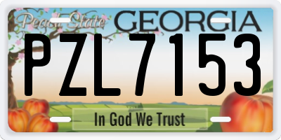 GA license plate PZL7153