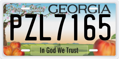 GA license plate PZL7165