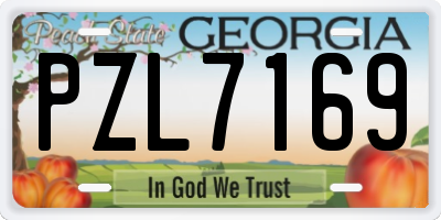 GA license plate PZL7169