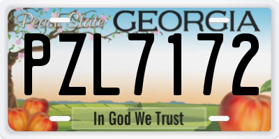 GA license plate PZL7172