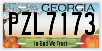 GA license plate PZL7173
