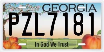 GA license plate PZL7181