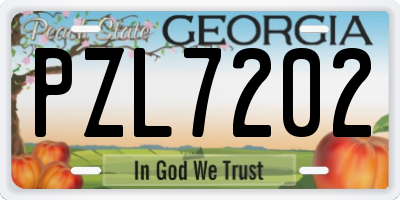 GA license plate PZL7202