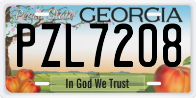 GA license plate PZL7208