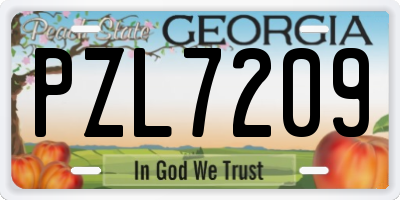 GA license plate PZL7209