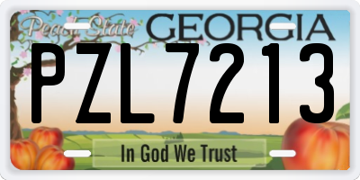 GA license plate PZL7213