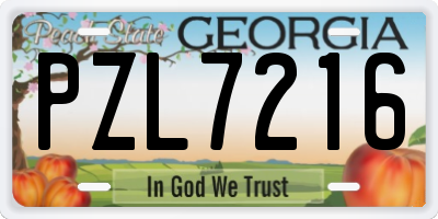 GA license plate PZL7216