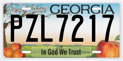 GA license plate PZL7217