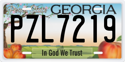 GA license plate PZL7219