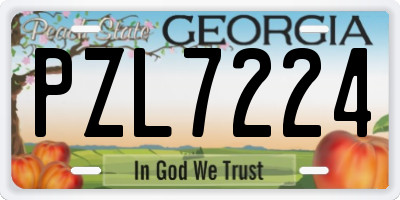 GA license plate PZL7224