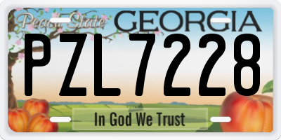 GA license plate PZL7228
