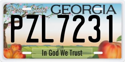 GA license plate PZL7231