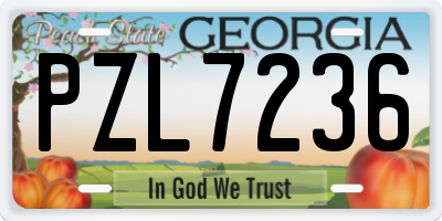 GA license plate PZL7236