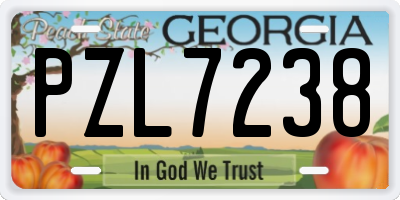 GA license plate PZL7238