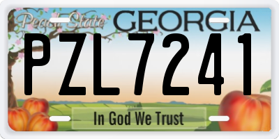 GA license plate PZL7241
