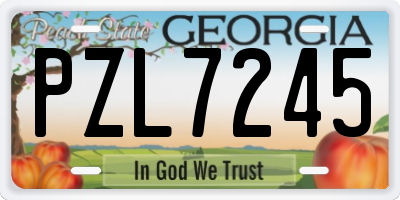 GA license plate PZL7245