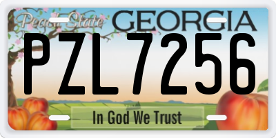 GA license plate PZL7256