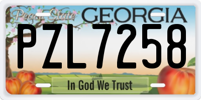 GA license plate PZL7258