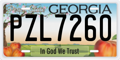 GA license plate PZL7260