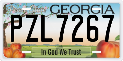 GA license plate PZL7267