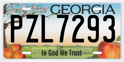 GA license plate PZL7293