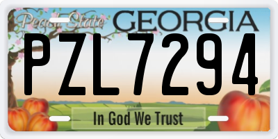 GA license plate PZL7294