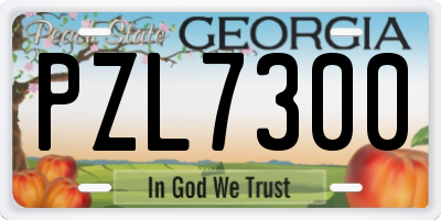 GA license plate PZL7300