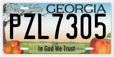 GA license plate PZL7305
