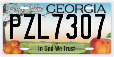 GA license plate PZL7307