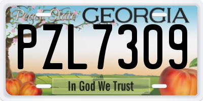 GA license plate PZL7309