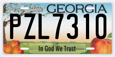GA license plate PZL7310