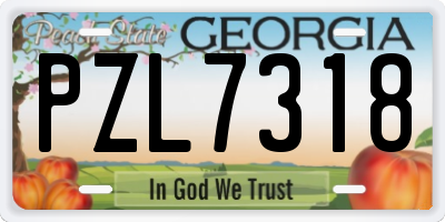 GA license plate PZL7318