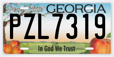GA license plate PZL7319
