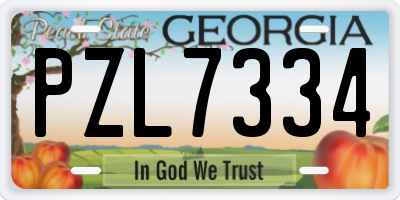 GA license plate PZL7334