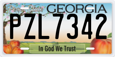 GA license plate PZL7342