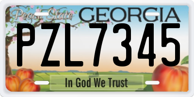 GA license plate PZL7345