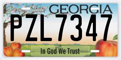 GA license plate PZL7347