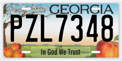 GA license plate PZL7348