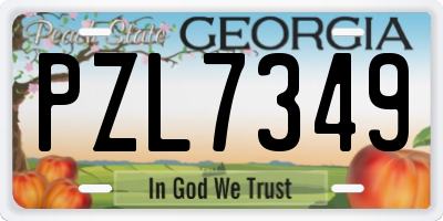 GA license plate PZL7349